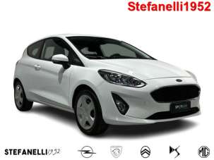 FORD Fiesta Diesel 2020 usata