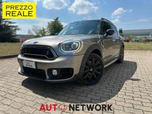 MINI Countryman Benzina 2017 usata