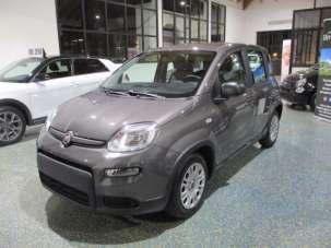 FIAT Panda Elettrica/Benzina 2023 usata, Treviso