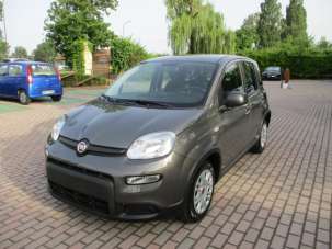 FIAT Panda Elettrica/Benzina 2023 usata, Treviso