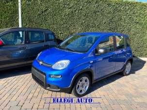 FIAT Panda Elettrica/Benzina usata, Italia