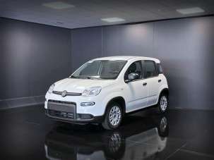 FIAT Panda Elettrica/Benzina 2024 usata, Belluno