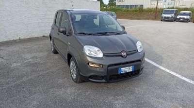 FIAT Panda Elettrica/Benzina 2022 usata