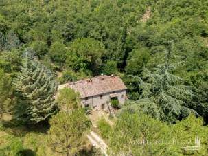 Vendita Rustico, Radda in Chianti