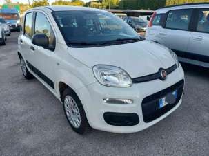 FIAT Panda Benzina/GPL 2019 usata, Avellino