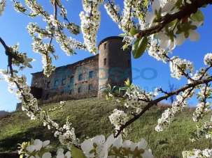 Vendita Casa indipendente, Calice al Cornoviglio