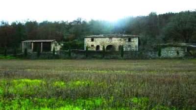 Vendita Case, Castelnuovo Berardenga