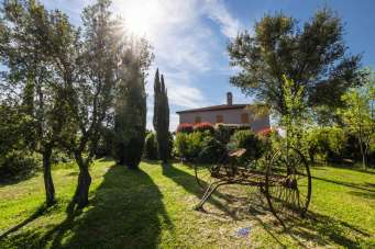 Vendita Multivani, Magliano in Toscana