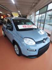 FIAT Panda Elettrica/Benzina 2024 usata, Torino