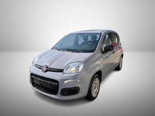 FIAT Panda Benzina 2021 usata