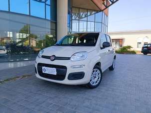 FIAT Panda Benzina/GPL 2017 usata, Pisa