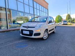 FIAT Panda Benzina/GPL 2015 usata, Pisa