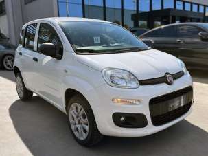 FIAT Panda Benzina/Metano 2018 usata