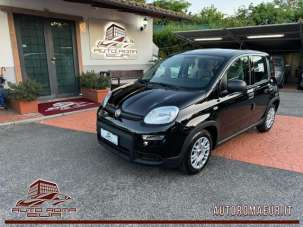 FIAT Panda Elettrica/Benzina 2024 usata