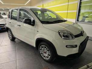 FIAT Panda Benzina/GPL 2024 usata, Venezia