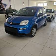 FIAT Panda Elettrica/Benzina 2024 usata, Pesaro e Urbino