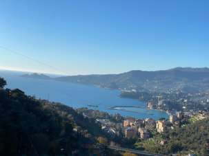 Vendita Quadrivani, Rapallo