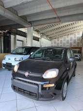 FIAT New Panda Elettrica/Benzina 2024 usata