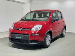 FIAT Panda Elettrica/Benzina 2024 usata, Sondrio