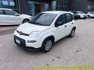 FIAT Panda Elettrica/Benzina 2024 usata, Treviso