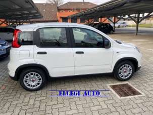 FIAT Panda Elettrica/Benzina usata, Italia