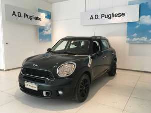 MINI Countryman Benzina 2010 usata