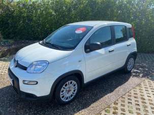 FIAT Panda Elettrica/Benzina usata