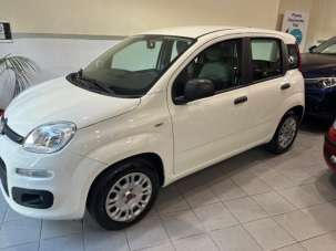 FIAT Panda Benzina/GPL 2020 usata