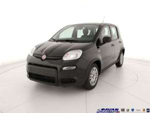 FIAT Panda Elettrica/Benzina 2024 usata