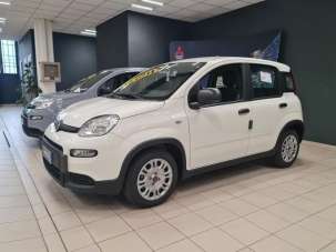 FIAT Panda Elettrica/Benzina 2023 usata