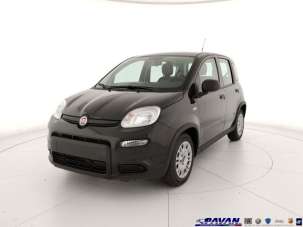 FIAT Panda Elettrica/Benzina 2024 usata