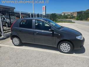 FIAT Punto Benzina/GPL 2010 usata, Campobasso