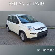 FIAT Panda Elettrica/Benzina 2024 usata