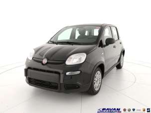 FIAT Panda Elettrica/Benzina 2023 usata