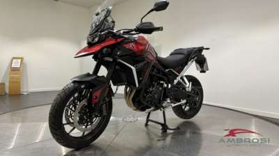 TRIUMPH Tiger 900 GT Benzina 2024 usata, Perugia