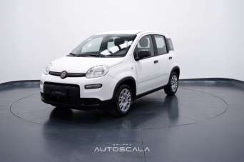 FIAT New Panda Benzina/GPL 2024 usata, Napoli