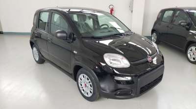 FIAT Panda Elettrica/Benzina 2024 usata