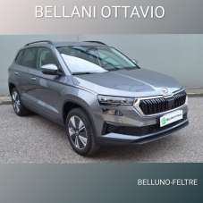 SKODA Karoq Benzina 2023 usata