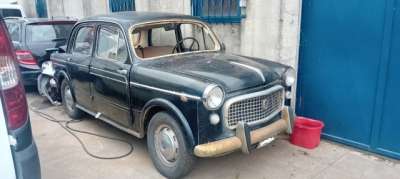 FIAT 1100 Benzina 1958 usata