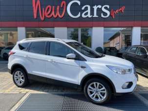 FORD Kuga Diesel 2019 usata, Cuneo