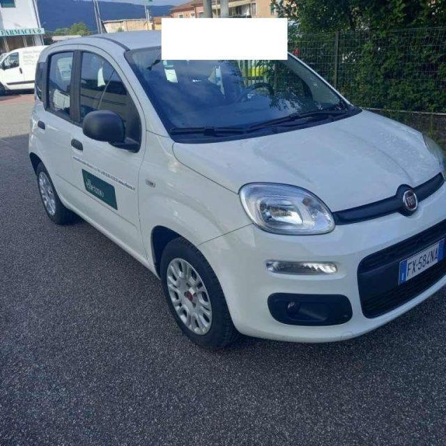 FIAT Panda Benzina 2019 usata, Brindisi foto