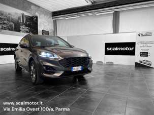 FORD Kuga Diesel 2023 usata