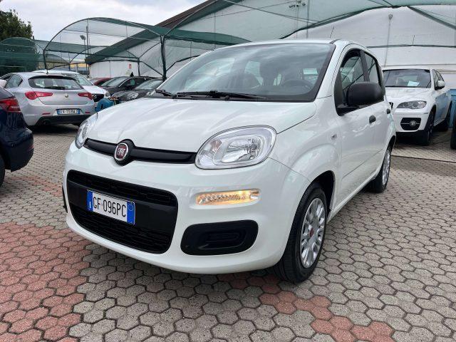 FIAT Panda Elettrica/Benzina 2021 usata, Torino foto