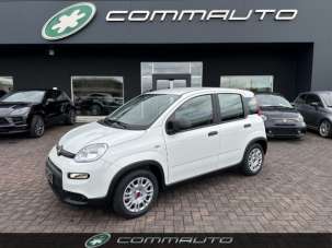 FIAT Panda Elettrica/Benzina 2023 usata, Treviso