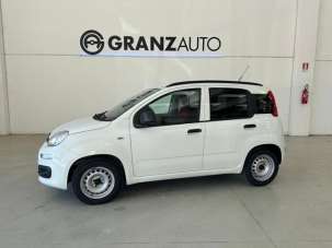 FIAT Panda Benzina/GPL 2019 usata