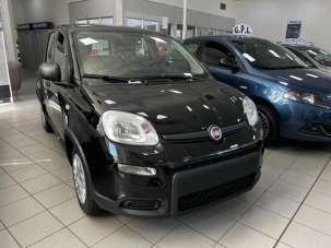 FIAT Panda Elettrica/Benzina 2024 usata