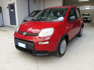 FIAT Panda Benzina/GPL 2024 usata