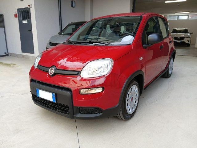 FIAT Panda Benzina/GPL 2024 usata foto