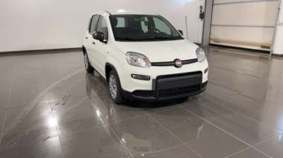 FIAT Panda Elettrica/Benzina 2024 usata