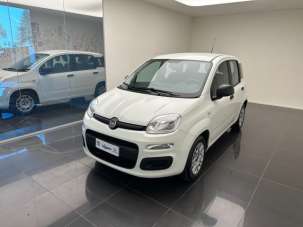 FIAT Panda Benzina 2016 usata, Cuneo